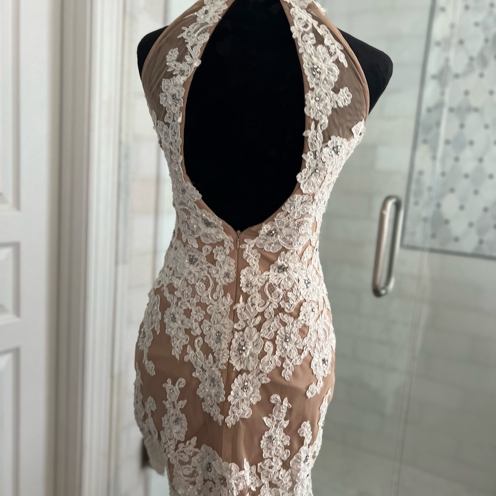 Sherri Hill Nude and Ivory Backless Lace Appliqué Dress - Picture 4 of 7